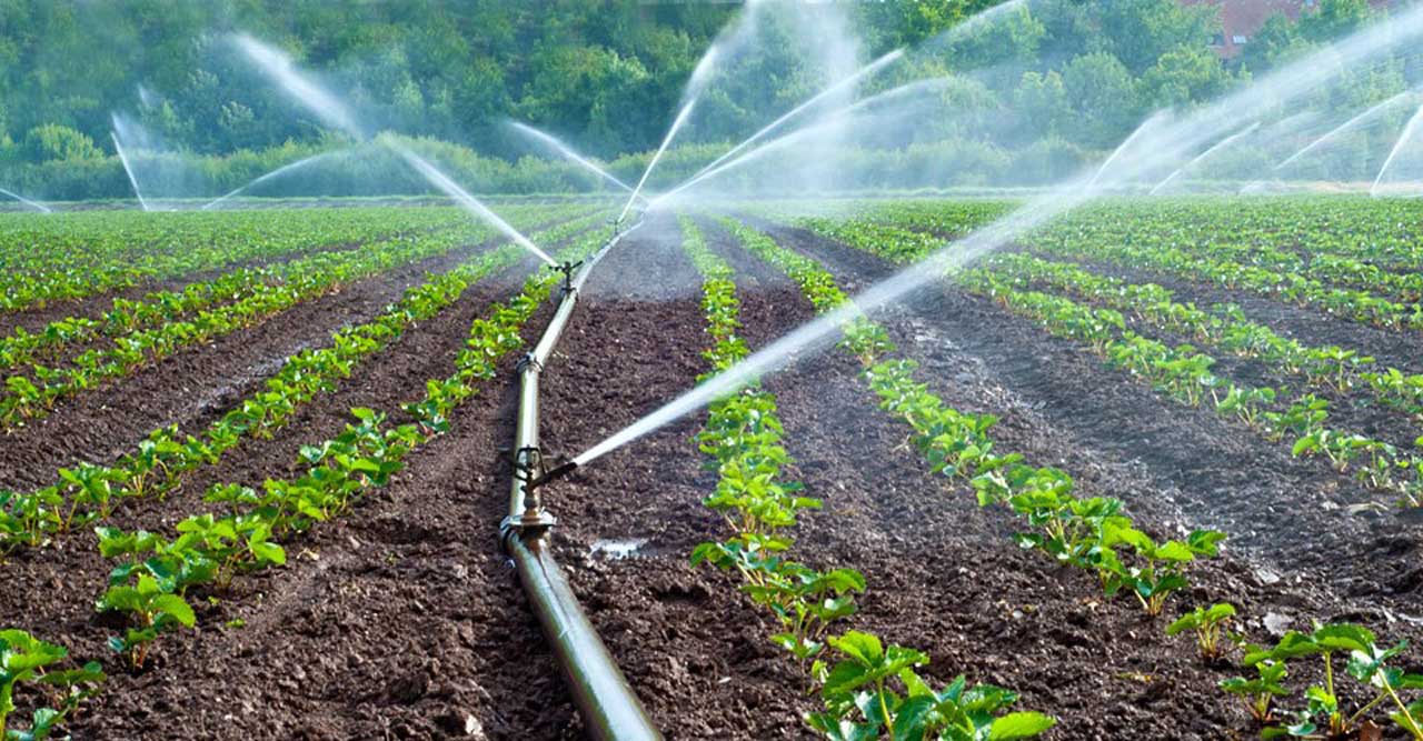 How to Get Your Farm Ready for Dry Season Farming