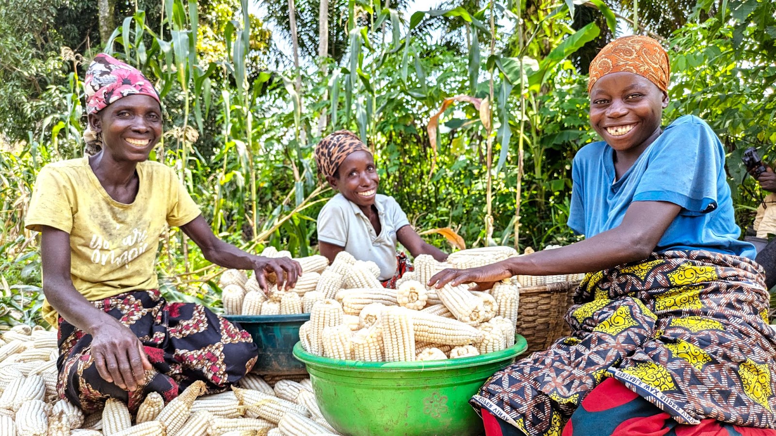 WHY TWO FARMERS PLANT THE SAME SEED AND GET DIFFERENT RESULTS