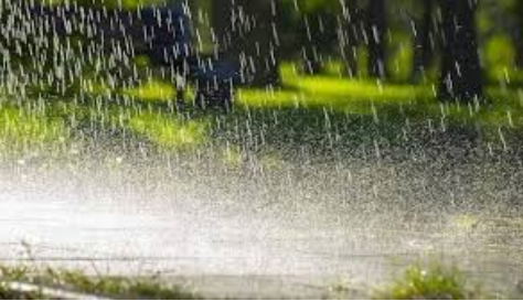Rain Is Here — 4 Things Every Farmer Must Do