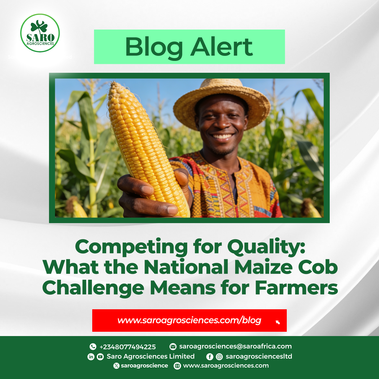 Competing for Quality: What the National Maize Cob Challenge Means for Farmers