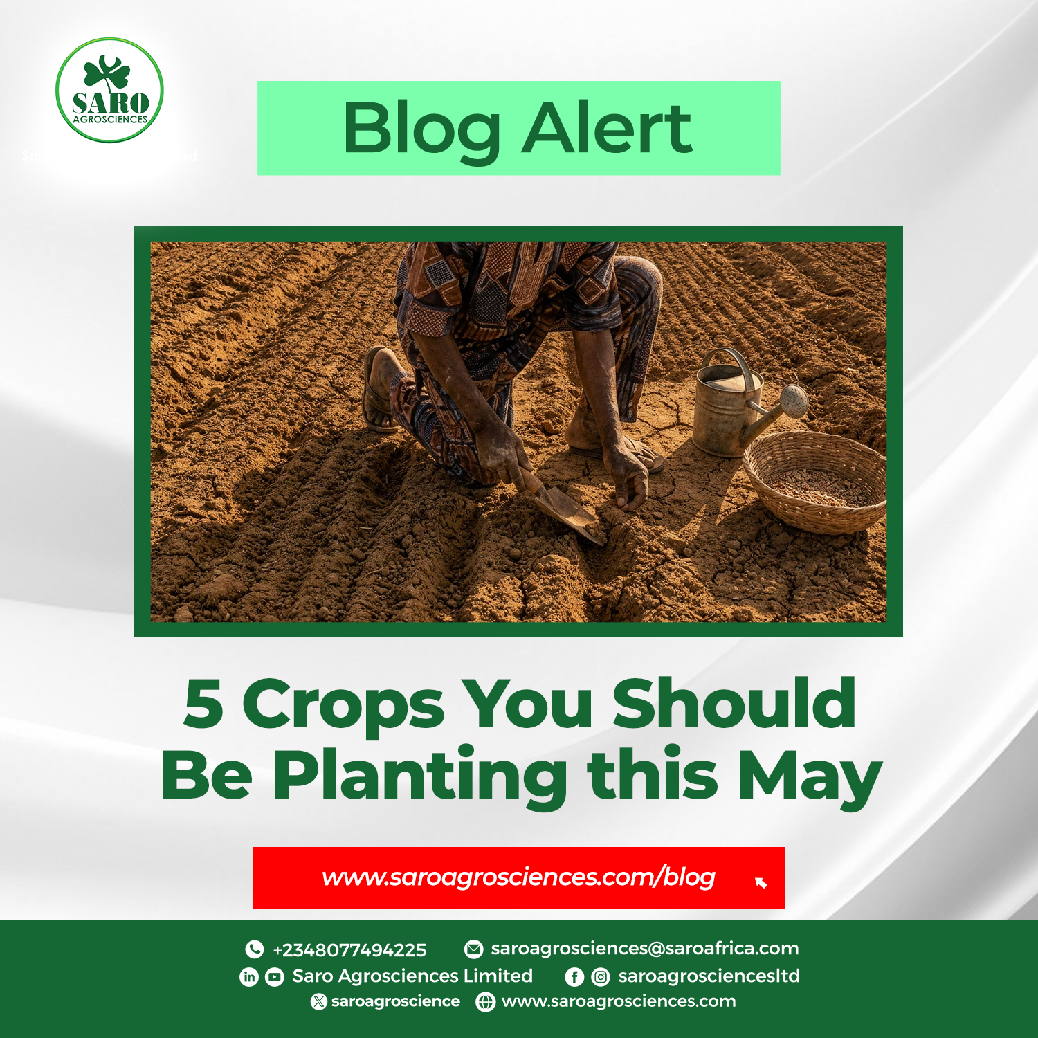 5 Crops You Should Be Planting this May