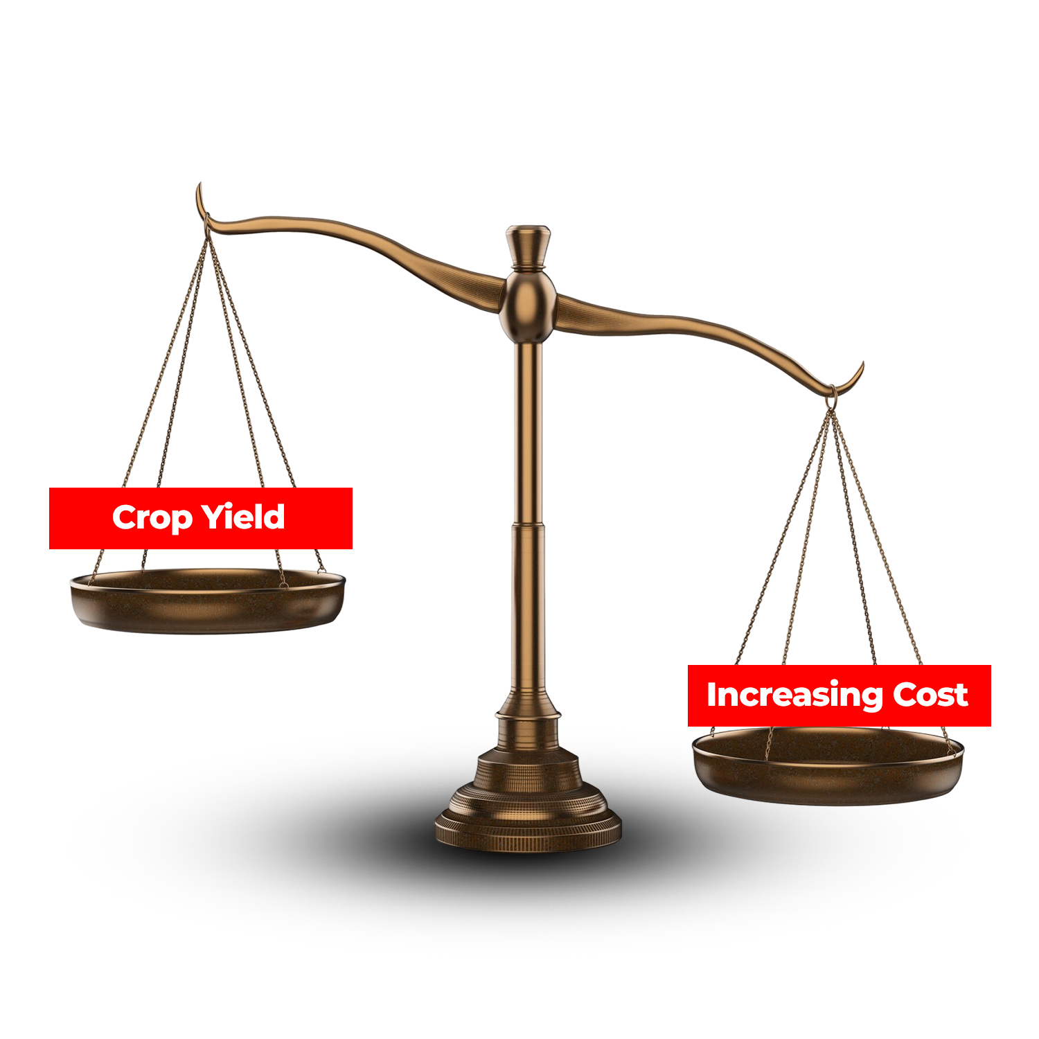 5 Proven Ways to Increase Crop Yield Without Increasing Cost