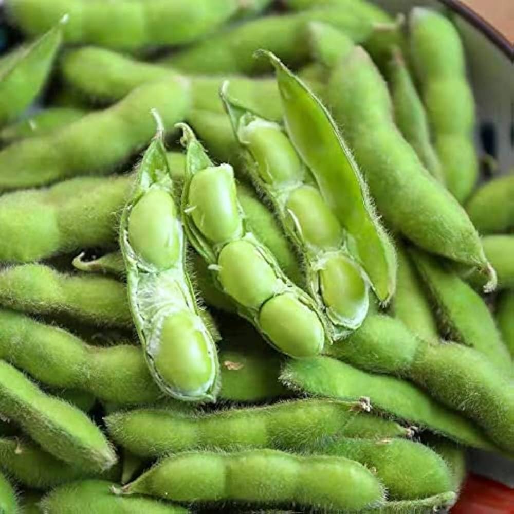 Groundnut, Cowpea & Soybean: The Secret to Healthy Legume Crops